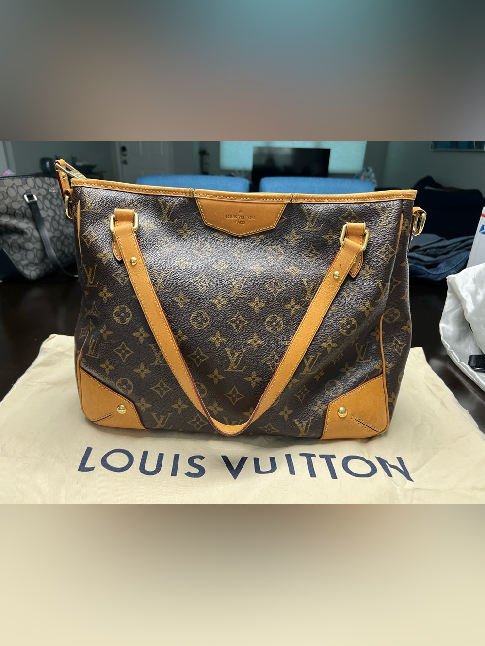 Louis Vuitton Estrela MM Monogram Empreinte Leather Tote Bag + COA